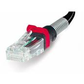 CORDON PATCHSEE RJ45 CAT 6 100 Ohms FTP  3.10 METRES