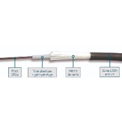 FIBRE OM4 12FO INT/EXT LSZH STRUCT. LIBRE 250µ ANTI RONGEUR SIMPLE