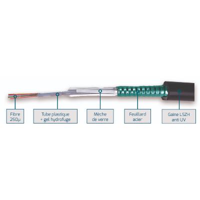 FIBRE OM3 6FO EXT LSZH STRUCT. LIBRE 250µ ANTI RONGEUR ARMEE ACIER