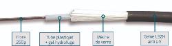 FIBRE OS2 12FO INT/EXT LSZH STRUCT. LIBRE 250µ ANTI RONGEUR SIMPLE