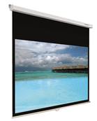 ECRAN DE PROJECTION MURAL 100'' DIM 203x152cm FORMAT 4/3